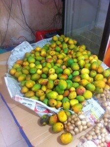 The first mango crop of the season