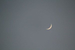 Ramadan begins with the sighting of the new crescent moon for the month