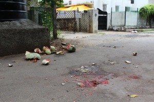 Melons smashed on Chennai streets for Ayudha Puja