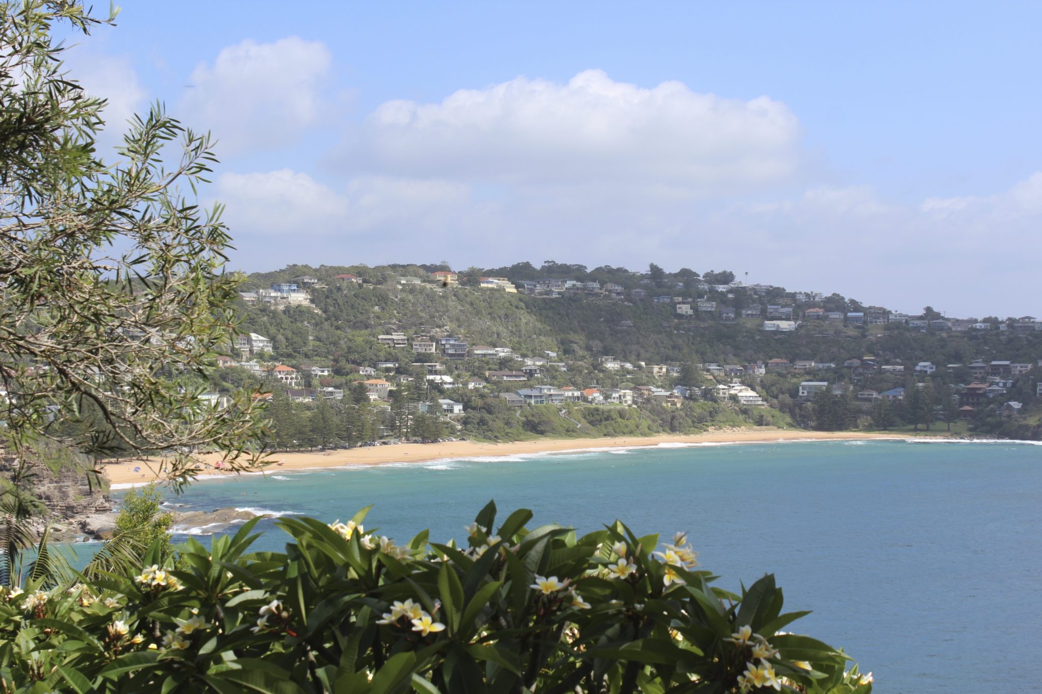 It's easy to see why Sydney is in love with its beaches - look at Whale Beach!