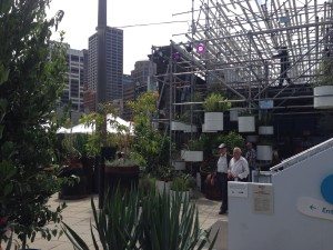 The raingarden at the Melbourne Food and Wine Festival at Queensbridge Square