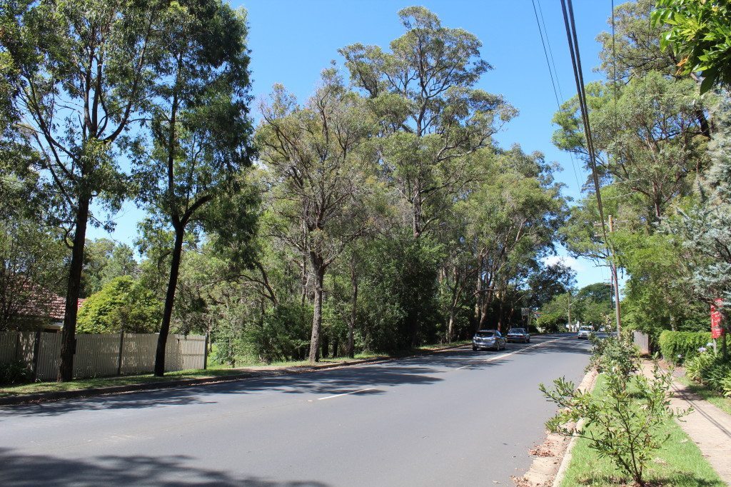 The B2/B3 corridor at Fox Valley Road, Wahroonga. The vacant piece of land on the left is where the motorway was once planned to be built.