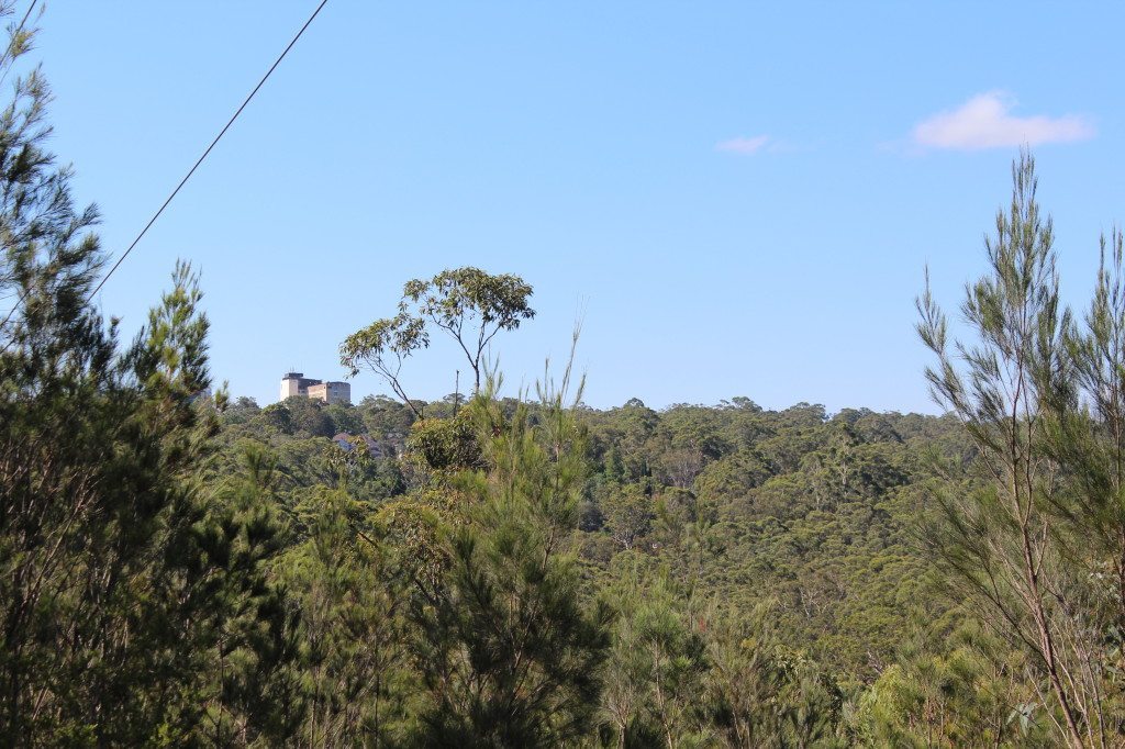 Bushland between Fox Valley and South Turramurra, seen from near Canoon Road. This tract of forest would have hosted the B2/B3 corridor before its abandonment in 1995.
