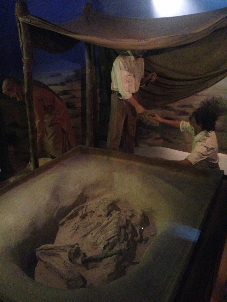 Human remains from Al Qusais, near Dubai, now housed in the Dubai Museum
