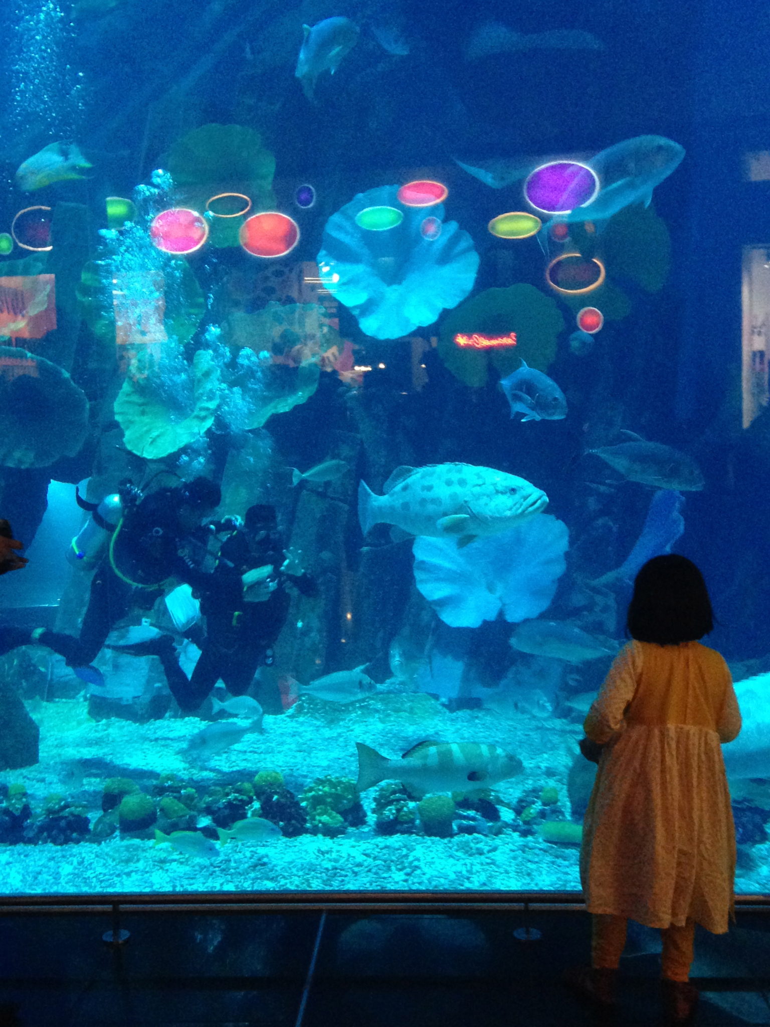The Dubai Aquarium seen from inside the Dubai Mall