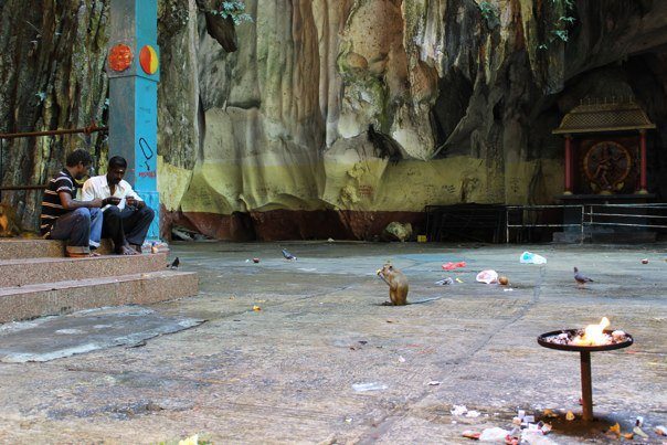 A monkey waits for a feed at the Batu Caves