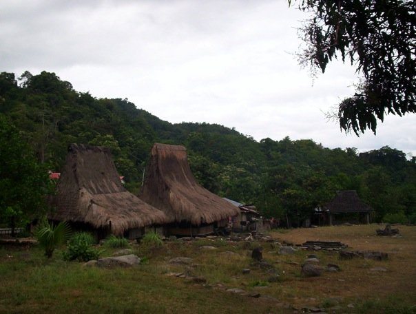 Traditional houses at Wolowaru, on the road between Maumere and Moni, Flores