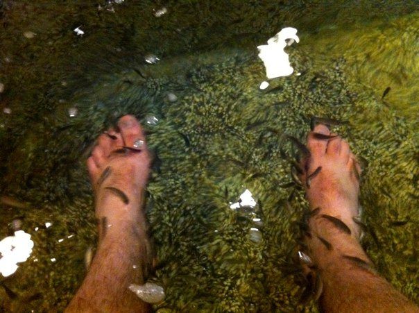 Fish foot spa at Suria KLCC