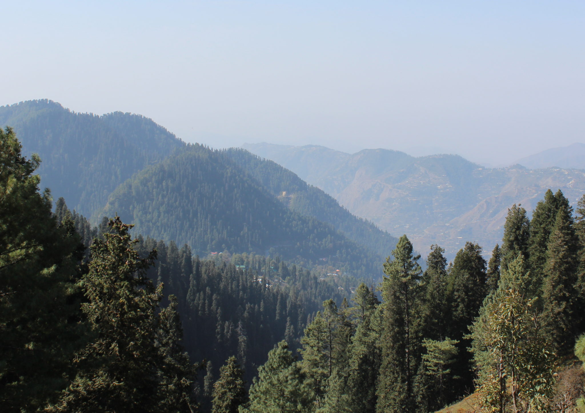With Kiss From The World: Falling in love with Mushkpuri