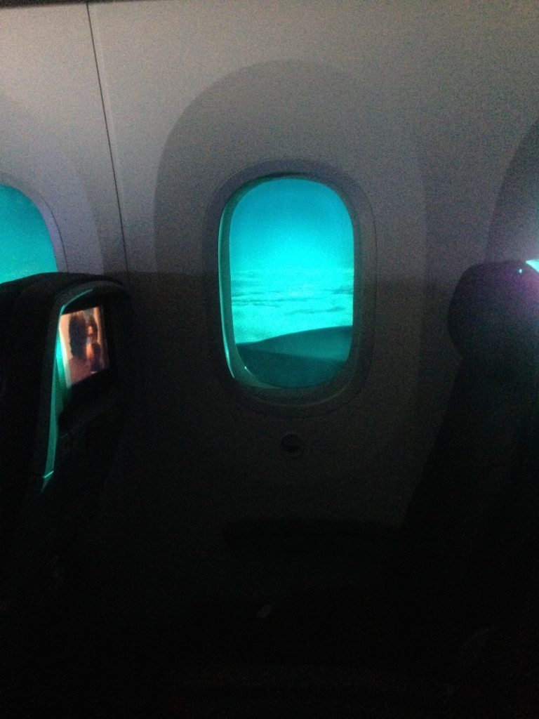 Tint-controlled windows block out the light but allow other passengers a view of the outside world.