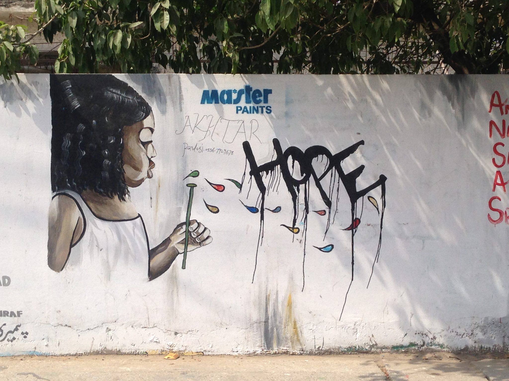 Poignant and polemic: Lahore Street Art
