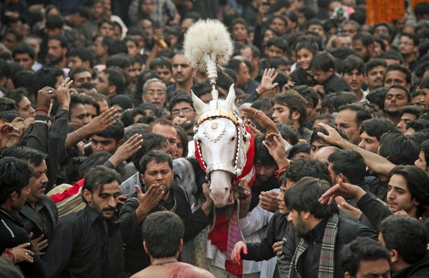 Zuljinah horse in an Ashura procession