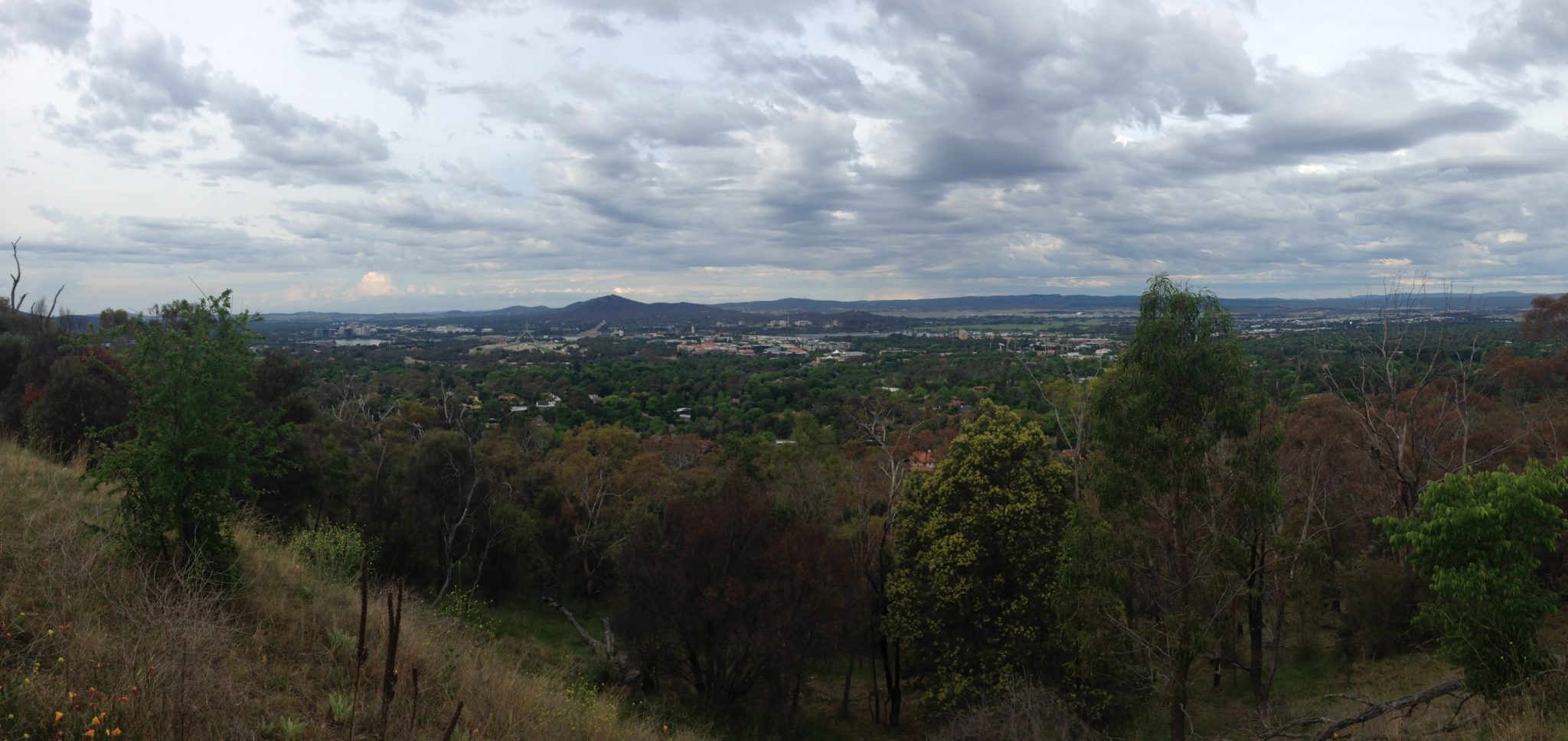 Panorama of Canberra from Red Hill