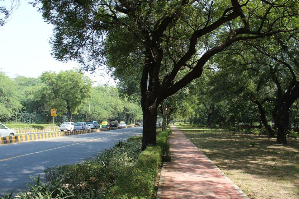 Leafy Sardar Patel Road