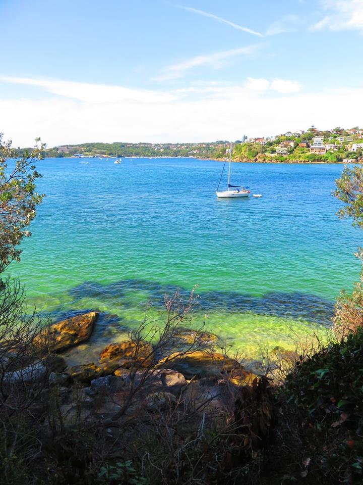 A cove on Sydney's Middle Harbour