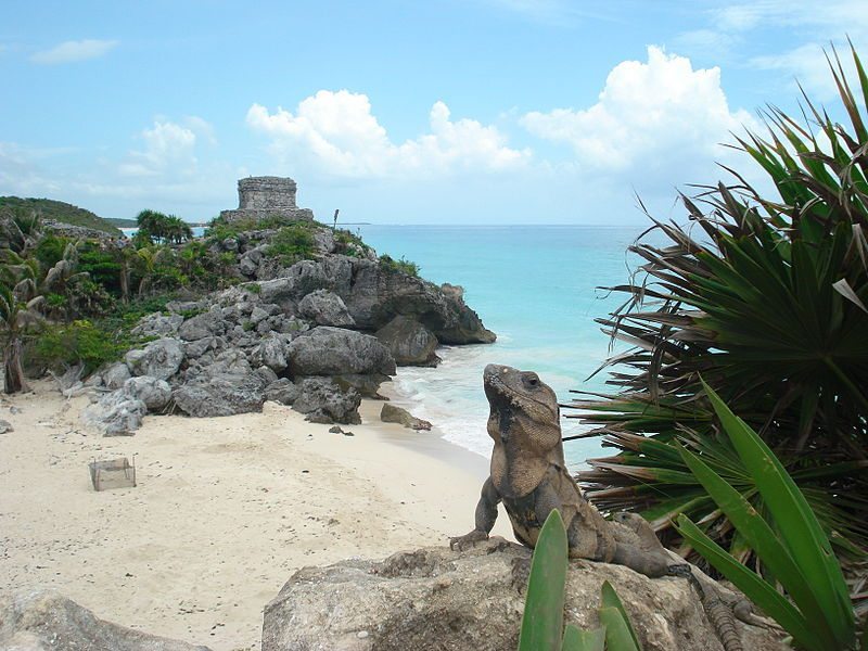 A beach in the Mayan Riviera (Image: Noe Gonzalez, Wikimedia Commons)