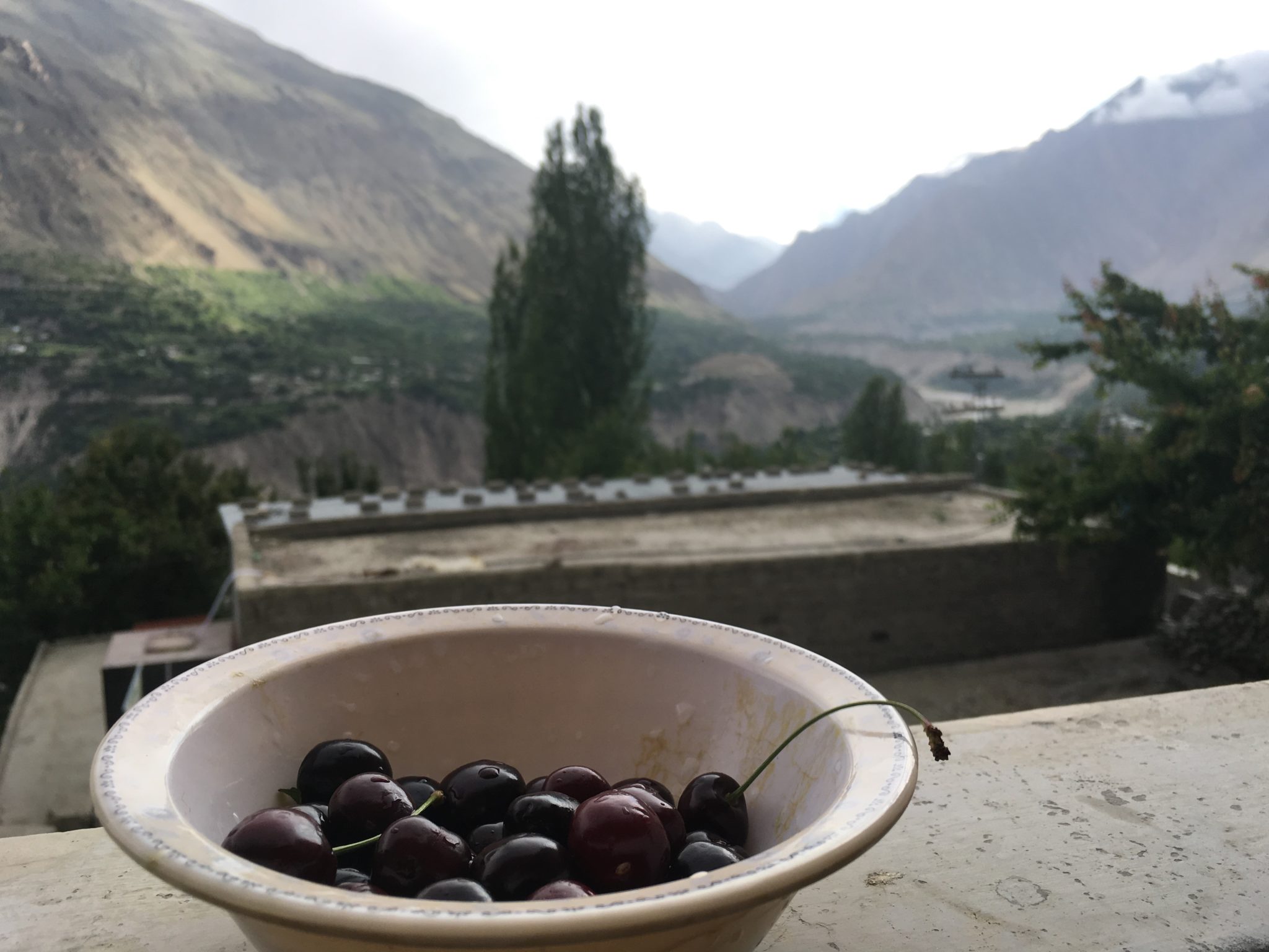 Cherries in the late afternoon as the sun sinks over the Hunza Valley