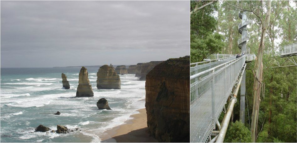 The Twelve Apostles (left) and Otway Fly Treetop Walk (right)