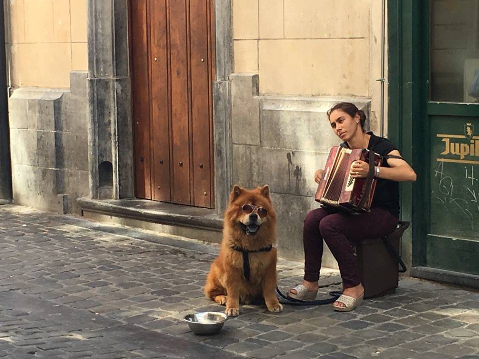 Brussels accordion player
