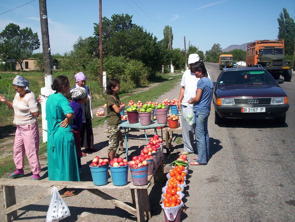 Kyrgyz road market