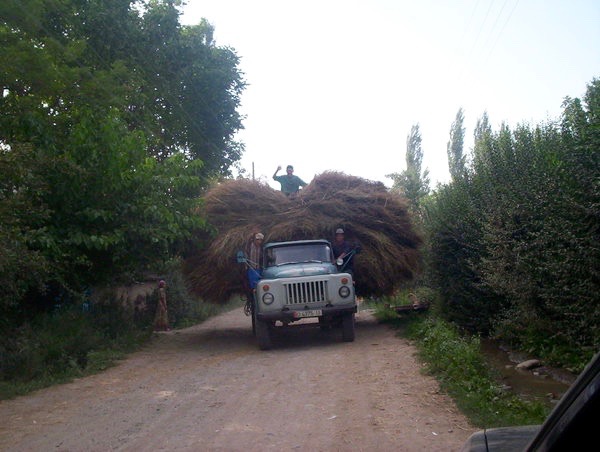 farm kyrgyzstan