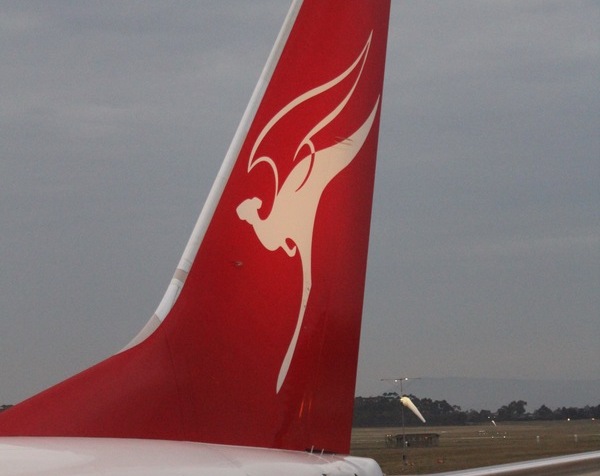 Airline tail art: Flying fauna!
